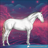 Horse Color:Smoky Grullo Ice Onyx Sabino Appaloosa Rabicano