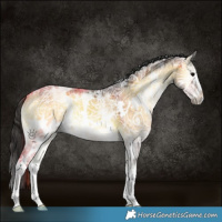 Horse Color:White Spotted Brown Ice Onyx