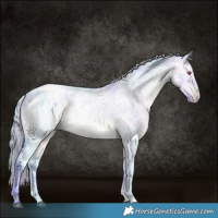 Horse Color:Watercolor White Spotted Brown Chinchilla Ice Dun Varnish Rabicano 