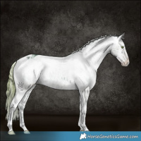 Horse Color:Watercolor Perlino Ice Onyx Appaloosa Rabicano 