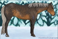 Horse Color:Silver Smoky Black