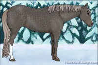 Horse Color:Silver Black 