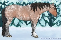 Horse Color:Brown Ice Roan 