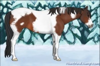 Horse Color:Brown Tobiano Frame 