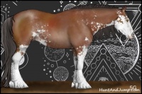 Horse Color:Bay Sabino Rabicano 