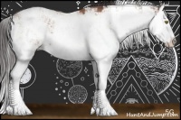 Horse Color:Bay Sabino Splash 