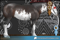 Horse Color:White Spotted Bay 