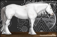 Horse Color:Bay Sabino Splash 