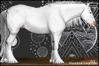 Horse Color:Brown Sabino 