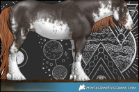 Horse Color:White Spotted Liver Chestnut Rabicano 