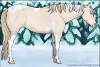 Horse Color:Perlino Tobiano Rabicano