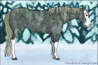 Horse Color:Red Dun Ice Splash 