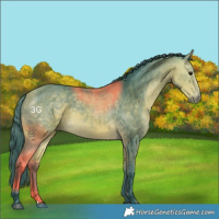 Horse Color:Watercolor Buckskin 
