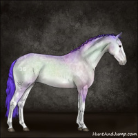 Horse Color:Watercolor White Spotted Buckskin Ice Onyx 