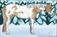 Horse Color:Chocolate Palomino Dun Tobiano Frame Blanket 