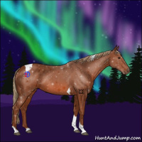 Horse Color:Chestnut Tobiano