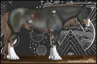 Horse Color:Liver Chestnut Sabino Rabicano 