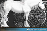 Horse Color:Gray White Spotted Bay Sabino Splash Rabicano 