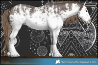 Horse Color:White Spotted Liver Chestnut Sabino Splash 