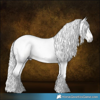 Horse Color:Gray Gold Champagne Roan 