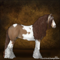 Horse Color:Gray Red Dun Tobiano Frame 