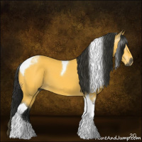 Horse Color:Gray Buckskin Tobiano 