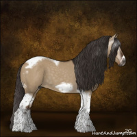 Horse Color:Gray Liver Red Dun Tobiano Frame 