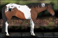 Horse Color:Bay Tobiano Varnish 