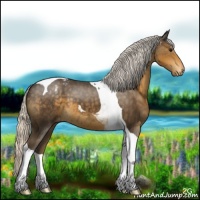 Horse Color:Silver Smoky Black Tobiano Appaloosa 