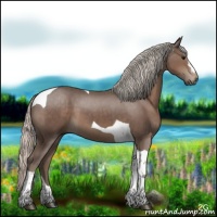 Horse Color:Silver Black Tobiano 