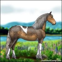 Horse Color:Silver Smoky Black Tobiano 