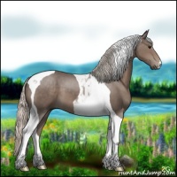 Horse Color:Silver Black Tobiano 