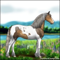 Horse Color:Silver Smoky Black Tobiano 