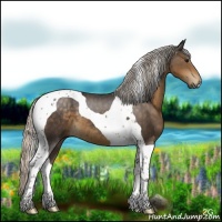 Horse Color:Silver Smoky Black Tobiano 
