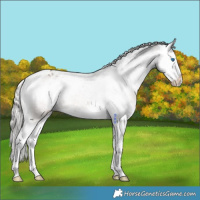 Horse Color:Silver Brown Dun Splash Varnish Rabicano 