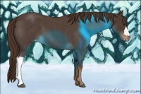 Horse Color:Liver Red Roan Appaloosa 