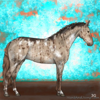 Horse Color:White Spotted Liver Red Dun Rabicano Brindle 