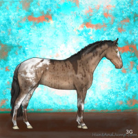 Horse Color:White Spotted Liver Red Dun Appaloosa Brindle 