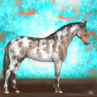 Horse Color:Liver Red Dun Tobiano Rabicano Brindle 
