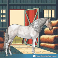 Horse Color:Liver Red Dun Roan Mushroom Tobiano Rabicano 