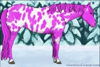 Horse Color:Watercolor Liver Chestnut Appaloosa 