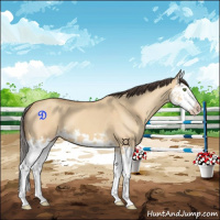 Horse Color:Amber Champagne Dun Splash 