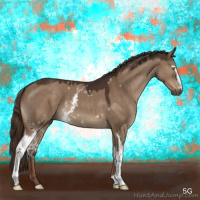 Horse Color:White Spotted Liver Red Dun 
