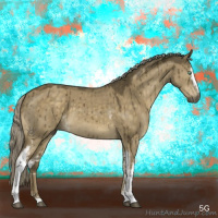 Horse Color:White Spotted Chocolate Palomino Dun Mushroom Sabino Brindle 
