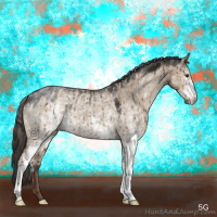 Horse Color:White Spotted Liver Red Dun Brindle 