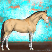 Horse Color:Buckskin Dun Sabino 