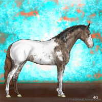 Horse Color:White Spotted Liver Red Dun Appaloosa Brindle 