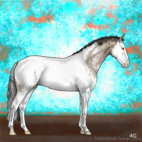 Horse Color:White Spotted Liver Red Dun Splash Appaloosa 