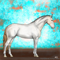 Horse Color:White Spotted Red Dun Roan Rabicano Brindle 