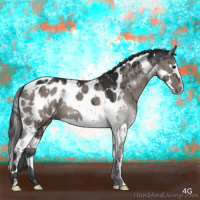 Horse Color:Grullo Mushroom Sabino Splash Tobiano Appaloosa Brindle 